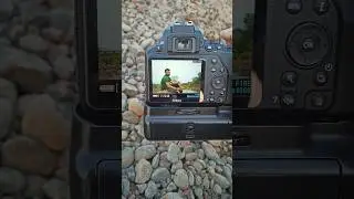 Nikon D3500 camera and Nikon 50mm lens #shorts