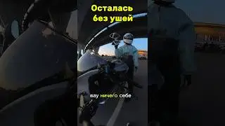 Осталась БЕЗ УШЕЙ 
