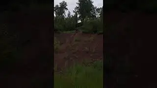 21 июня 2024 г.