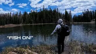 This Is Why You Should Always Be Willing to Change Your Flies!