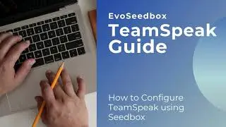 How to configure TeamSpeak with seedbox | TeamSpeak Guide