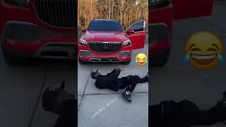 DABABY REPONDS TO 