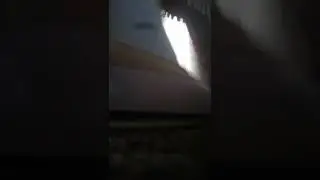на нервы действовала  и я её утюгом раздавила😂😂😂😂🔪