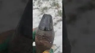 #shortsvideo