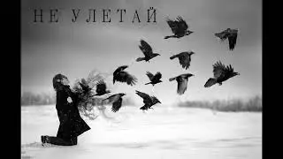 Кэм - Не улетай