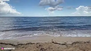 Explorando Guamá: Parte 3 - Playa larga | Nice Travel
