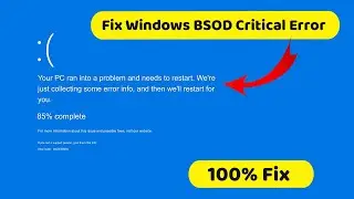 How to Fix Critical Process Died Blue Screen Error on Windows 10 & 11? Bluescreen Error