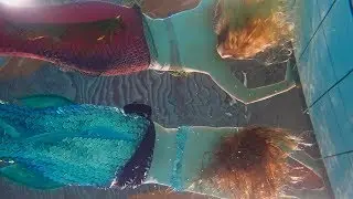 Just a little bit of Mermaid Magic!