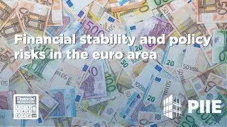 Financial stability and policy risks in the euro area