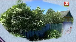 НАПЕРАД У МІНУЛАЕ. Госць - арт-гурт 