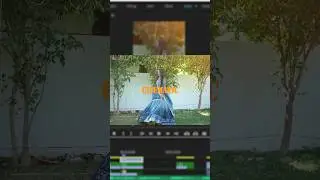 sun 🌞light overlay #premierepro