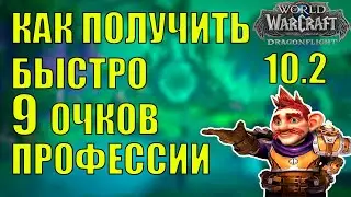 КАК ПОЛУЧИТЬ ЛЕГКО ПО 9 ОЧКОВ КО ВСЕМ ПРОФЕССИЯМ В WOW DF 10.2
