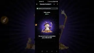 Hamster Kombat 19 August Combo Cards ✅ || Hamster Kombat Daily Combo || Unlock 🔓 5M Combo Rewards