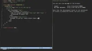 Basic usage of create-react-app