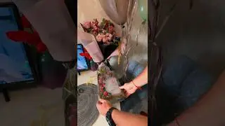 Кто это?…что это?# рекомендации#