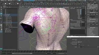 Advanced Shoulder/Clavicle Tutorial Using Aim Constraints