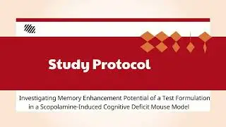 Protocol for Investigating Memory Enhancement Activity: Exploring Diverse Parameters