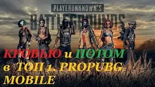 Кровь и Пот в PUBG MOBILE 0.5.0. Подписчики го в сквад