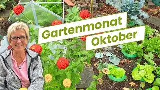 Deine Aufgabenliste für den Gartenmonat Oktober