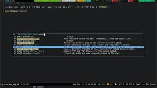 Emacs Execute Shell Scripts 2021_12_08_18:37:48