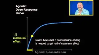 Agonist Dose Response Curves