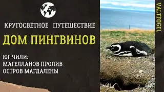 Кругосветное путешествие. Пунта-Аренас, Чили