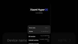 Xiaomi Hyper OS developer mode on