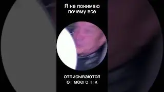 мой тгк: whitesmokemusic