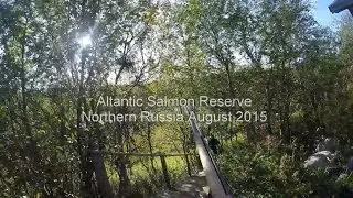 Rynda River - Massive Atlantic Salmon Caught on Fly
