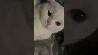 dia kenapa sih😭