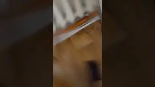 1 декабря 2023 г.