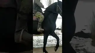 13 января 2021 г.