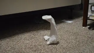 A Sock Says Hello