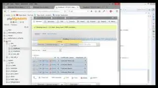 Hibernate Database Relation + one to many and all possibility