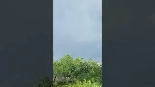 6 июня 2024 г.