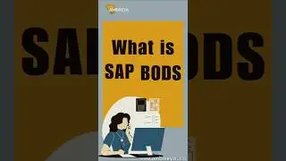 What is SAP Bods #sap #sapbods #ambikeya