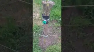 ростовская область второе видео .2 провода 4км ушло