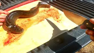 I Bought a 30 YO Truck So I Can Do This.. (Coastal Catch Cook)
