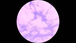 AJAX - Everlasting