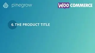 06. The product title