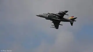 Harriers!