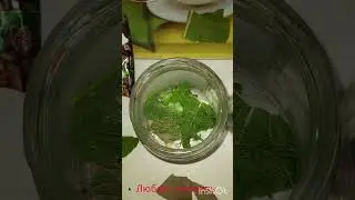 Солим опята 