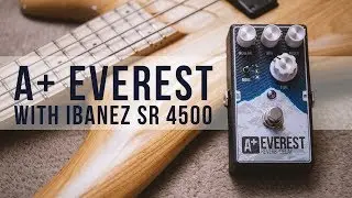 A+ Everest reverb-delay with Ibanez SR 4500 bass