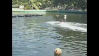 Jordão no "toboágua"