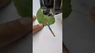 A Leaf Becoming Art With Colorful Thread