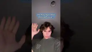 2024 updated alpha male routine