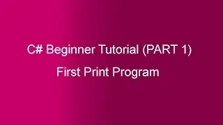 Part 1 - C# Tutorial - Read & Write On Console