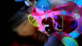 Lps Die Auswanderung nach Ghana