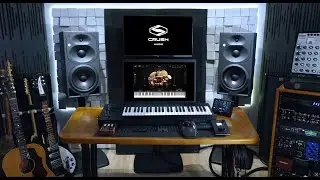 Crush Percussion Overview (main features)