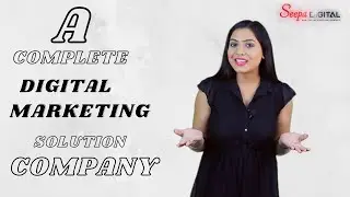Introduction to SEEPA DIGITAL - A complete digital marketing solution company.